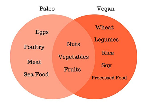 Paleo diet vs Vegan diet