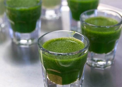 Wheatgrass is alkaline